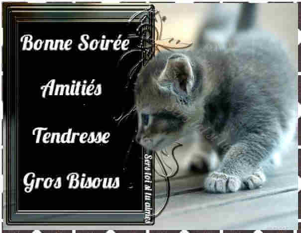 RÃ©sultat de recherche d'images pour "bonne nuit chaton gros bisous"