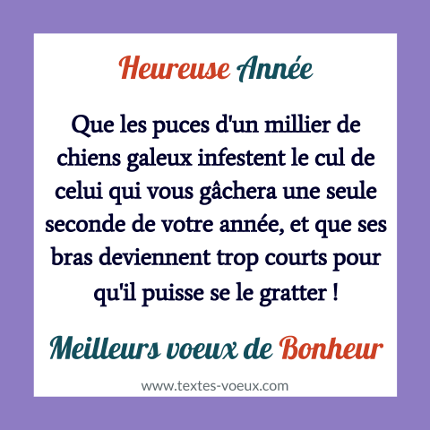Carte humour bonne année 2024 Texte de voeux comique de bonne année