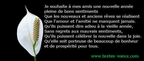 Citation Bonne année Positive Sms bonne année positive