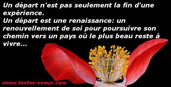 Citation Bonne continuation pour un départ professionnel Message de départ positif à ses collègues de travail