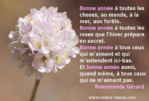 Poésie Bonne année message original de voeux Poésie Bonne année