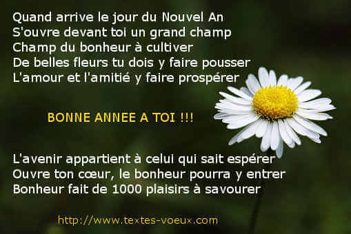 Poesies Bonne année 2024 pour enfants et famille Poesie Bonne année 2024 pour enfants et famille