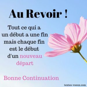 message voeux départ collègue