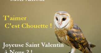 Message st valentin rigolo et sms saint valentin marrant